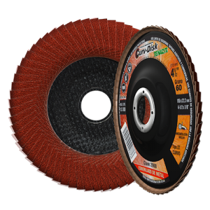 CURV-DISK